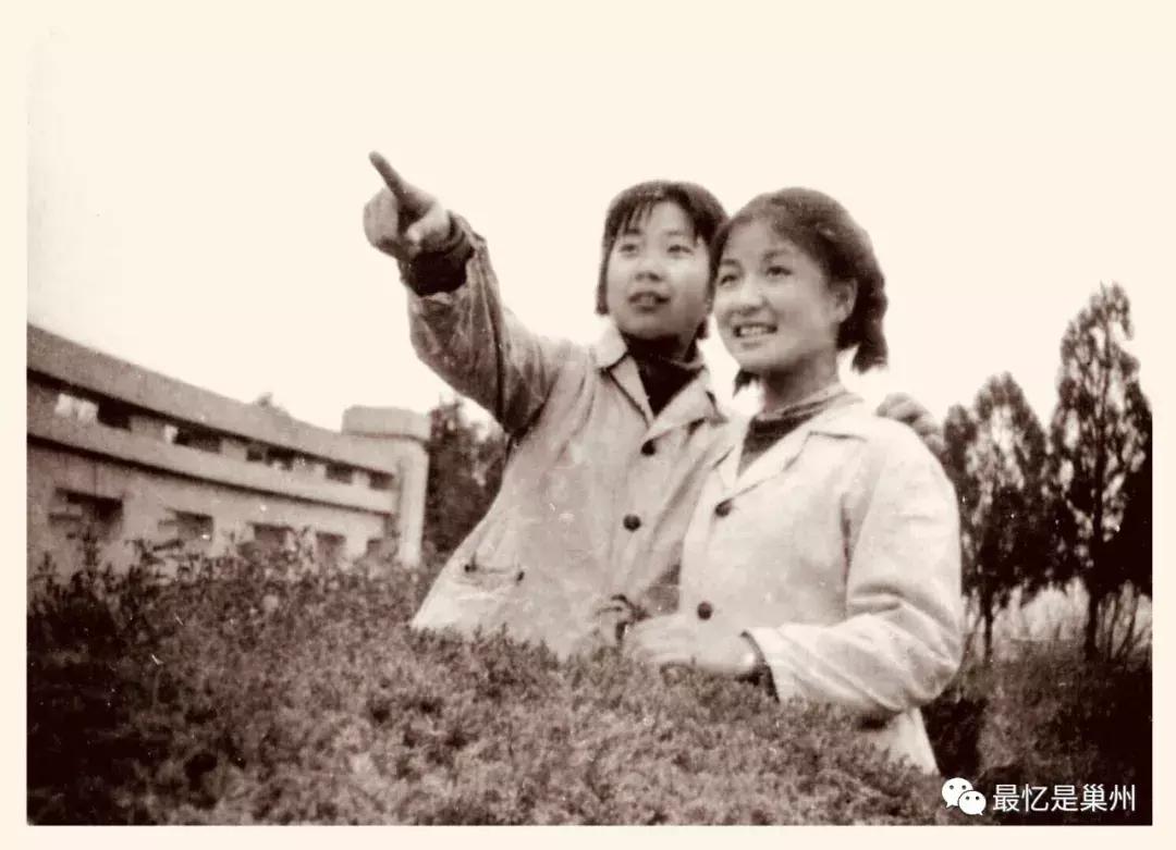 合肥往事，老巢县的校园文化