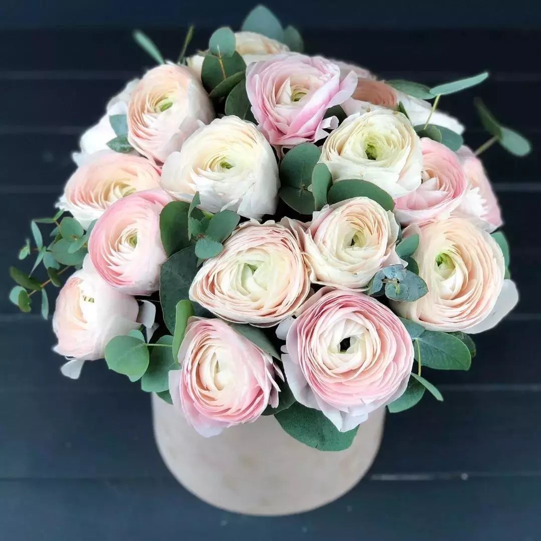 银柳插花颜色搭配教程,插花技巧花艺色彩搭配