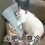 张店区学区房价格一览表,在张店哪个学区房性价比最高