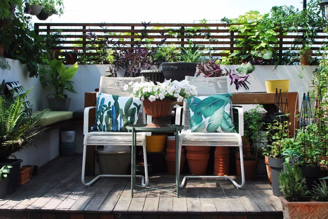 39岁，她不安分得很漂亮天台折腾两年，随后发出的照片，惊艳了所有人