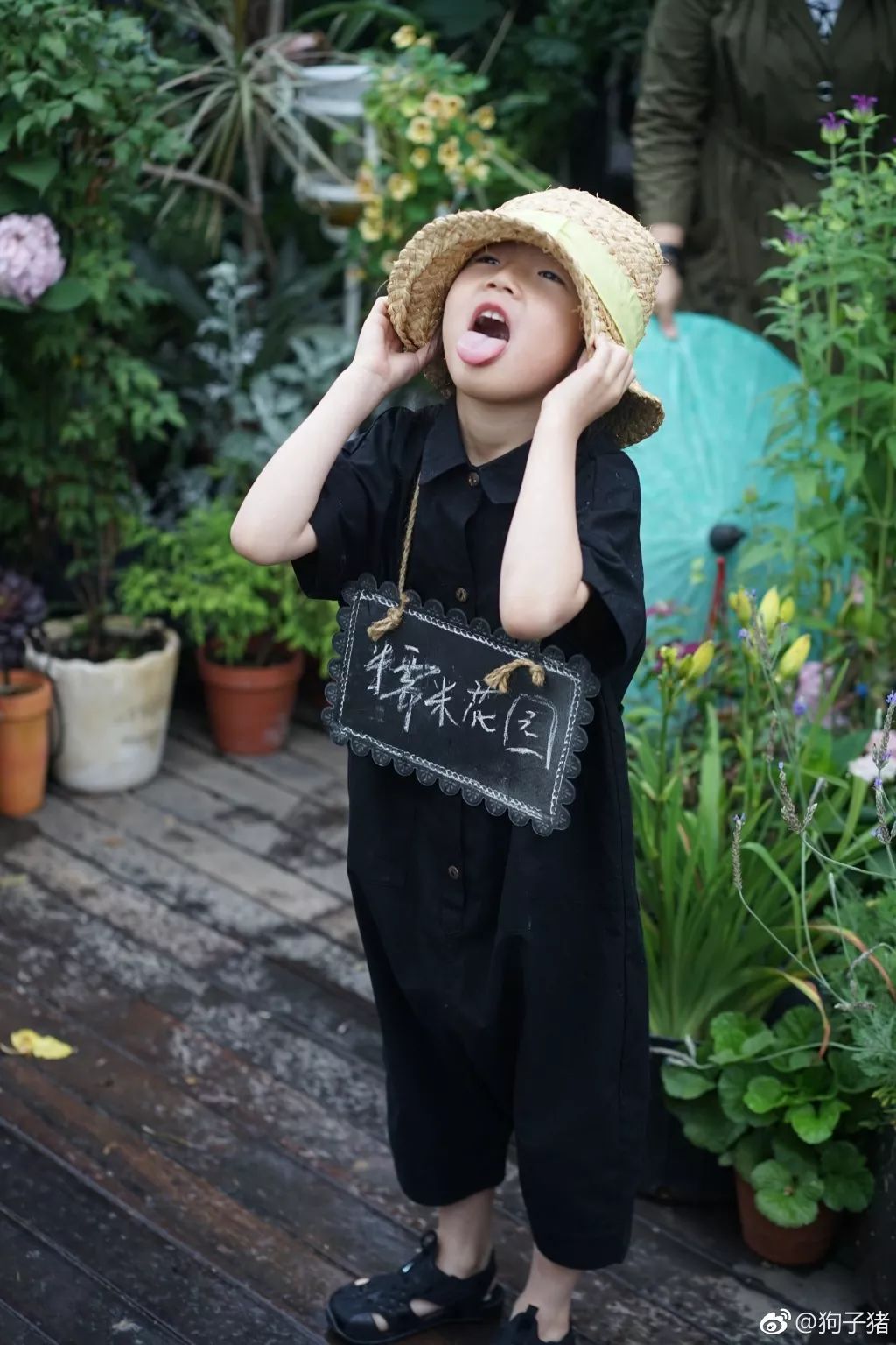 39岁，她不安分得很漂亮天台折腾两年，随后发出的照片，惊艳了所有人