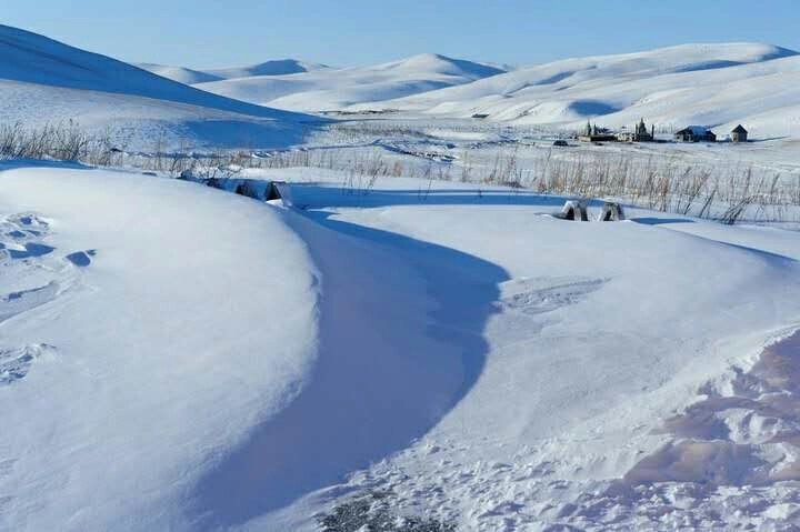 拍摄狼图腾的草原,狼图腾摄影地