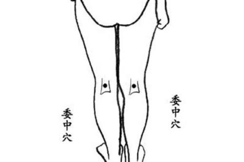 常用穴位处方一览表,人体自带的穴位处方