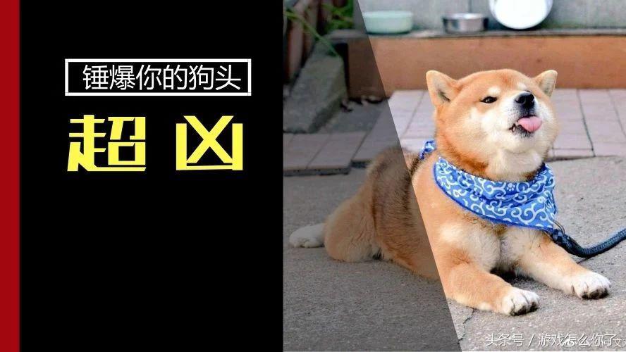 steam买到黑key会怎么样,steam买到黑key被回收了