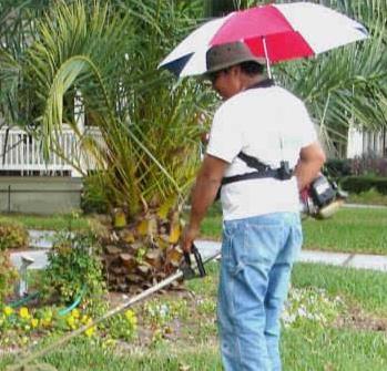 新发明雨伞不用手撑,雨伞发明全过程