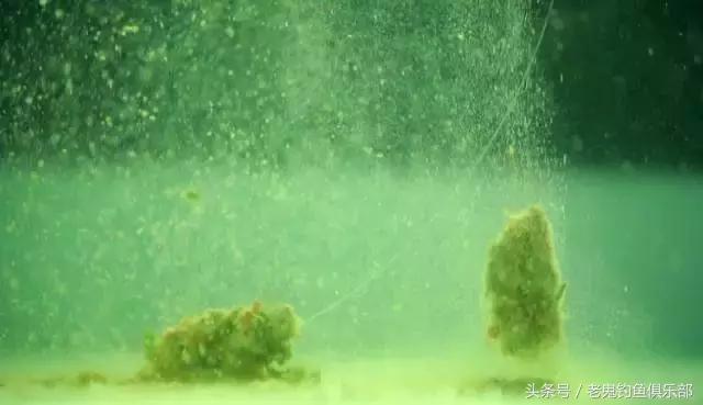 学会这五款钓鲫配方渔获无人能敌,饵料技巧