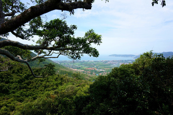 晒黑攻略,晒黑指南