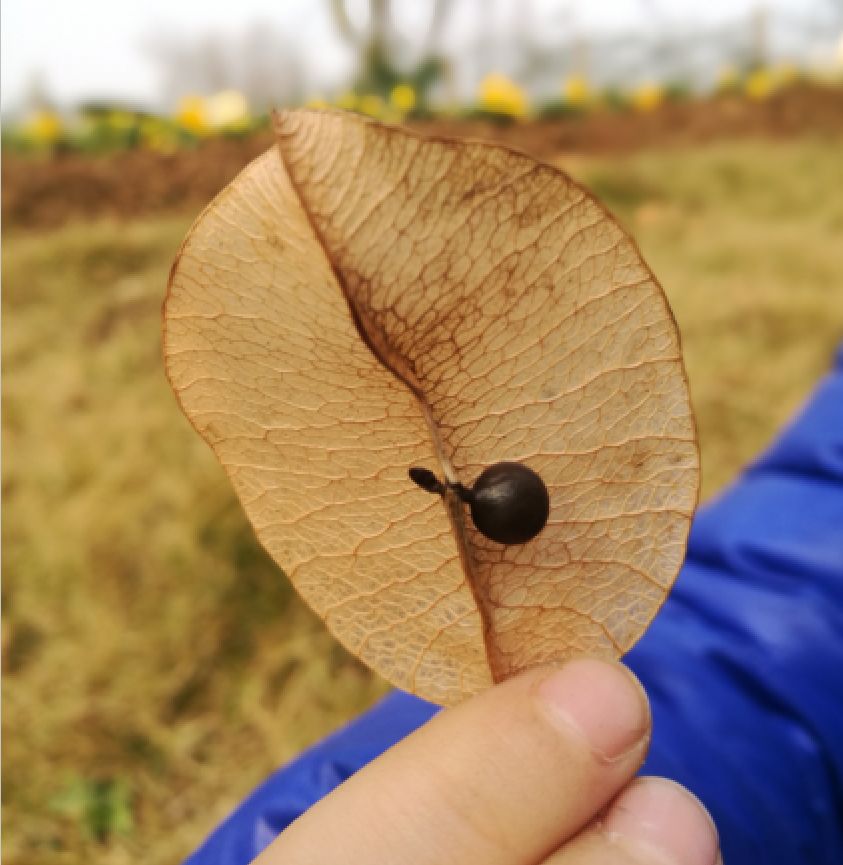 养娃5年，如何让孩子不爱电视，不玩手机？