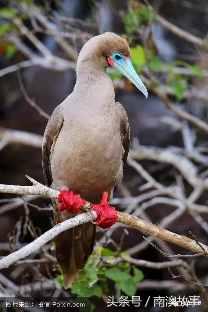 这座小岛究竟隐藏了多少秘密,一座鲜为人知的隐藏小岛