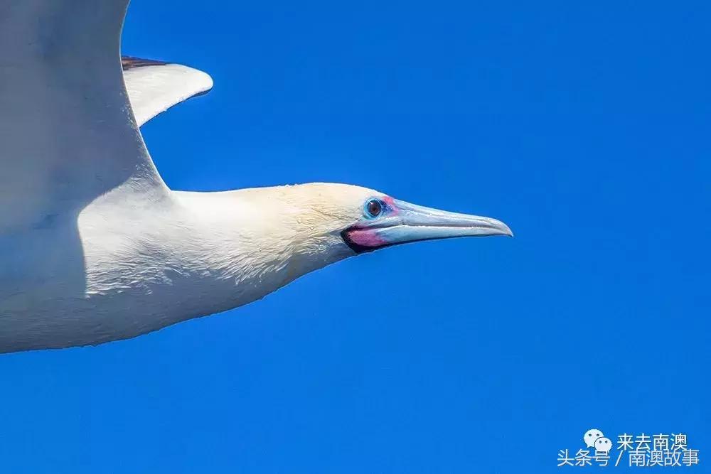 这座小岛究竟隐藏了多少秘密,一座鲜为人知的隐藏小岛
