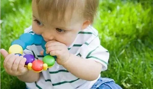 2岁宝宝吃手智力发育,周岁宝宝吃手到底要不要干预