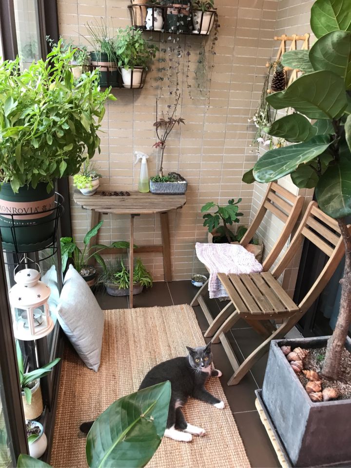 全屋实木家具布置 (家里装修设计实木家具)