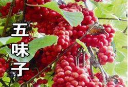 几种常见药不能混着吃,十种不能同服的药物