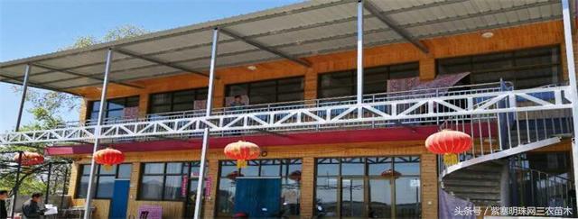 天津蓟州适合住一周的农家院,天津市蓟州区青山陌农家院