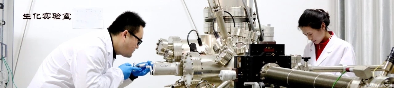 临沂大学排名前十的专业,临沂10所大学排名