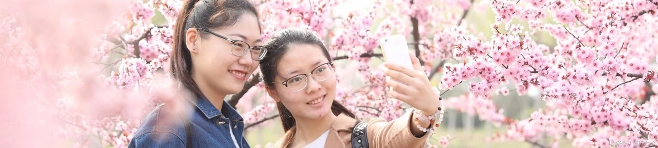 临沂大学排名前十的专业,临沂10所大学排名