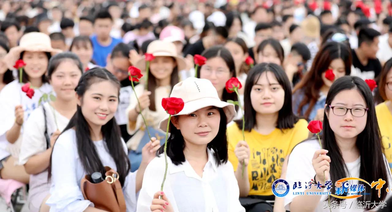 临沂大学排名前十的专业,临沂10所大学排名