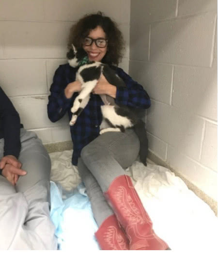 肾衰竭的猫救回来可以活多久,花20万救拉布拉多