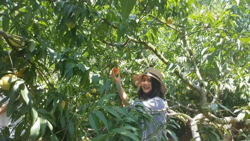 长寿山风景区美食,麻阳县长寿之乡