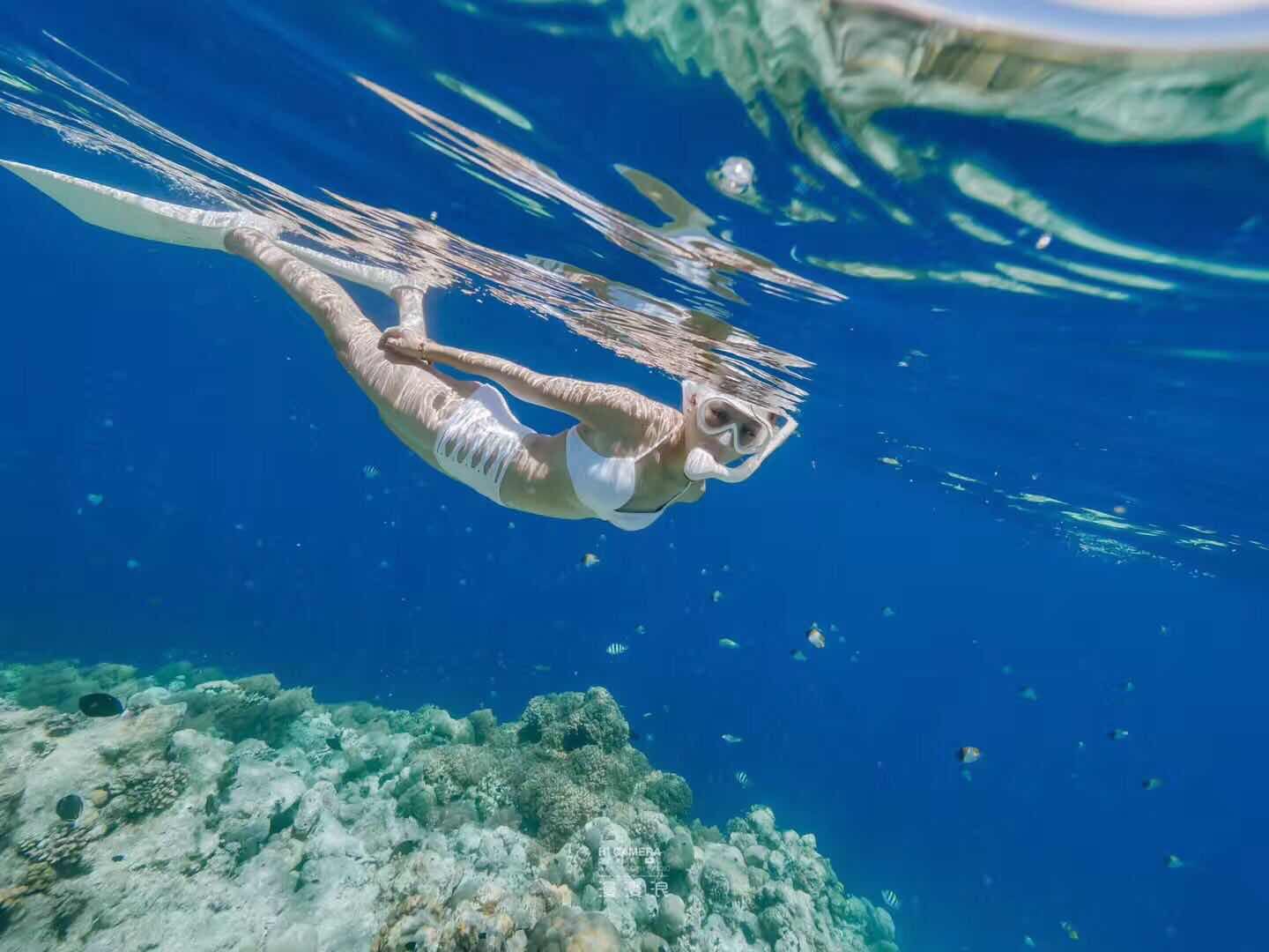 帕劳旅游最美风景攻略,帕劳全球海岛旅游