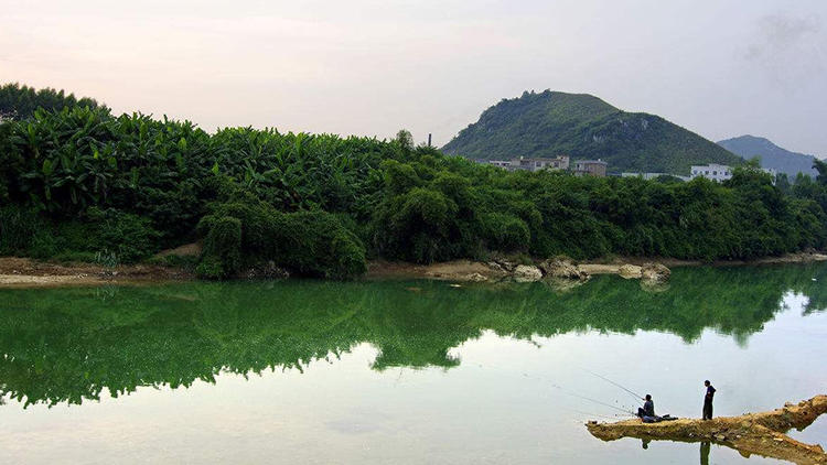 新手怎么挑选手竿,新手如何选择钓竿