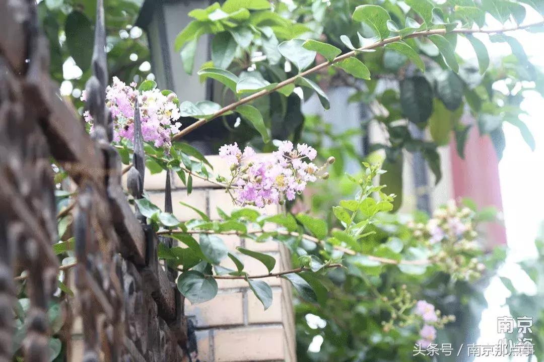 秦淮区月牙湖的房价,南京月牙湖房价44万房源