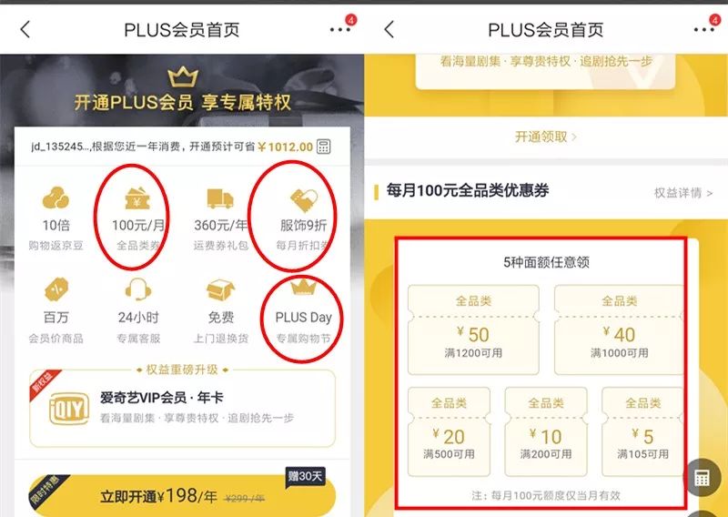 京东爱奇艺,京东爱奇艺运营