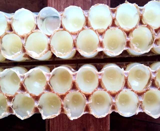 蜂王浆里含了些什么,国外蜂王浆吃了有什么好处呢