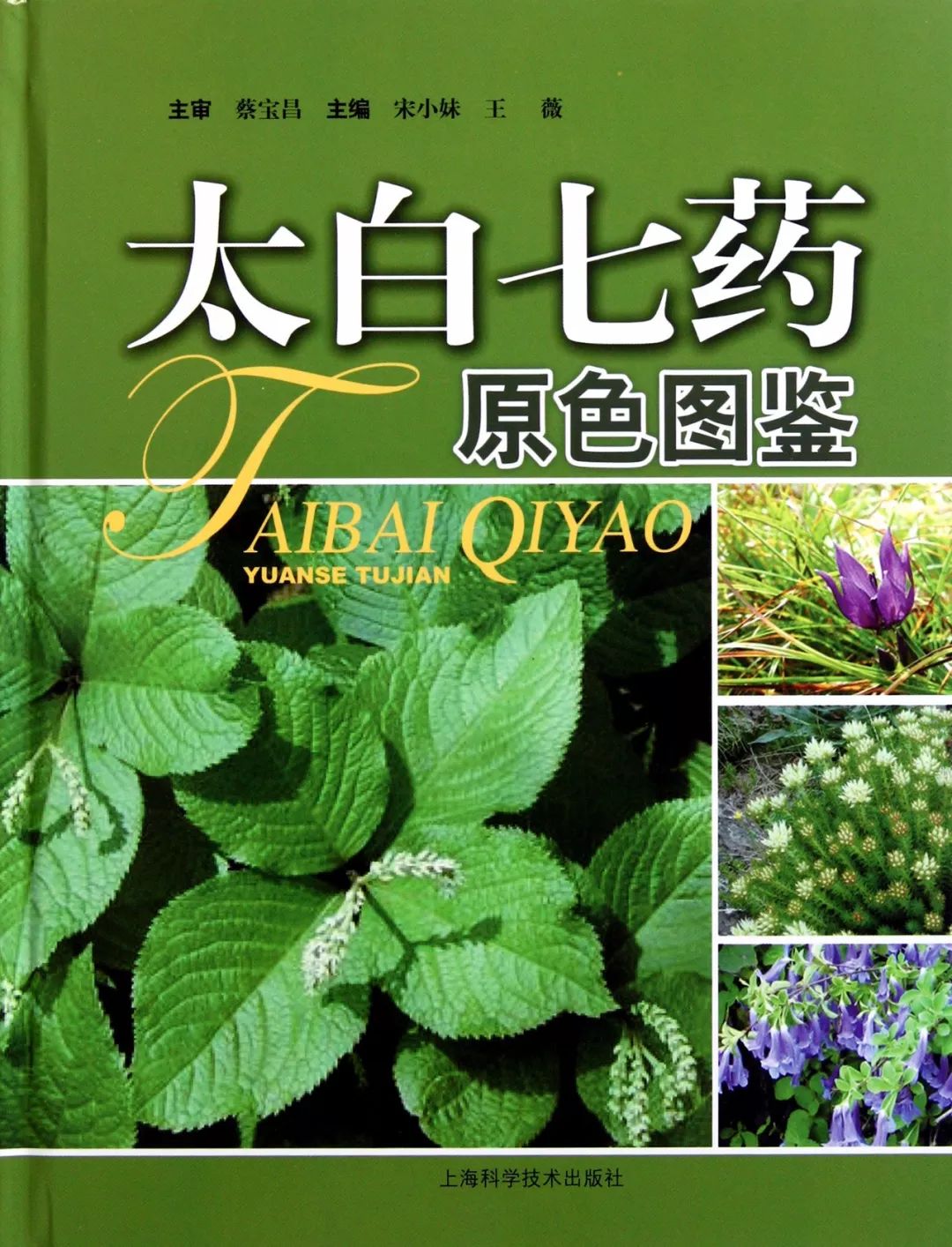 太白山野生珍稀植物|七十二种“七药”