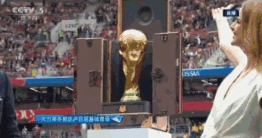 世界杯告别青春,世界杯青春不散场图片