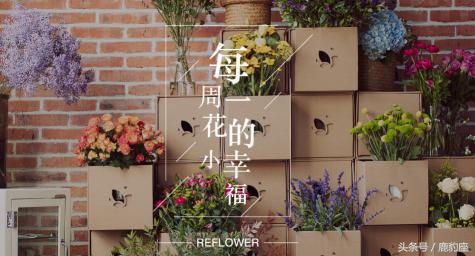 高圆圆入股的花点时间b轮融资,高圆圆花点时间加盟费多少钱