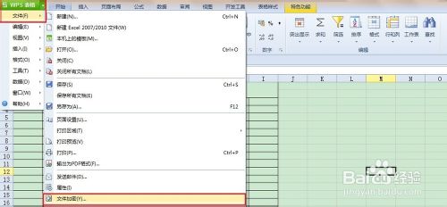 怎样设置wps表格密码,怎么给自己的wps设置密码
