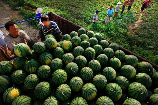 大兴区最新发展,大兴机场利好消息