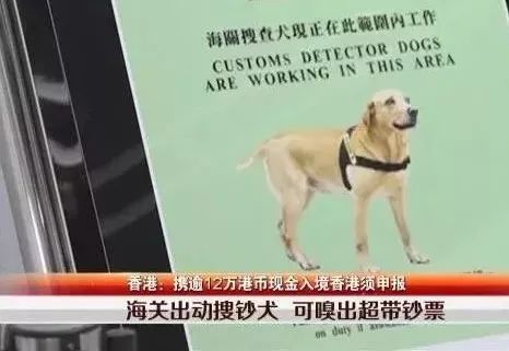 去香港旅游有过治安罚款可以去吗,去香港要关注什么避免罚款