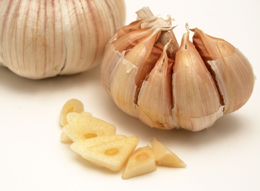 大蒜是属于植物的哪部分,大蒜是生活中的什么