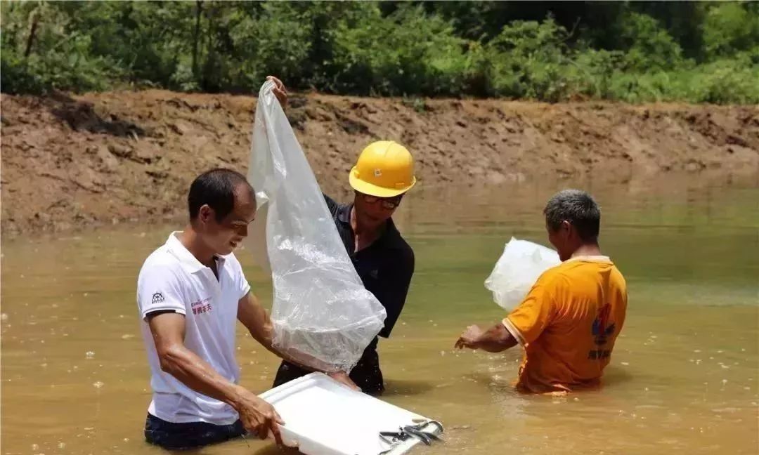 广西贺州农产品展示,贺州特色农产品有哪些