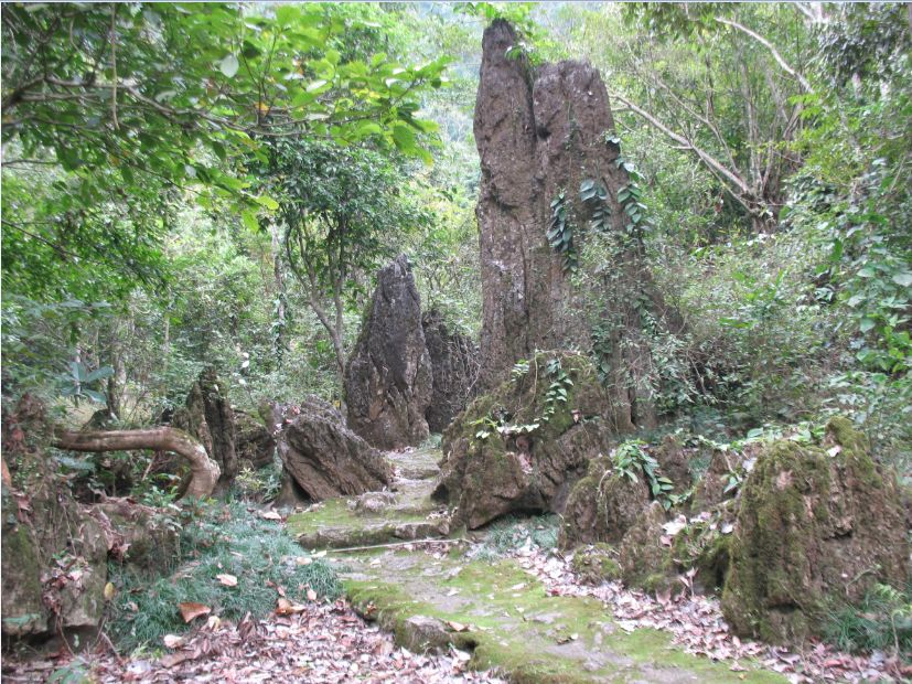 三伏天，龙虎山的“山大王”们开始消暑养生了！