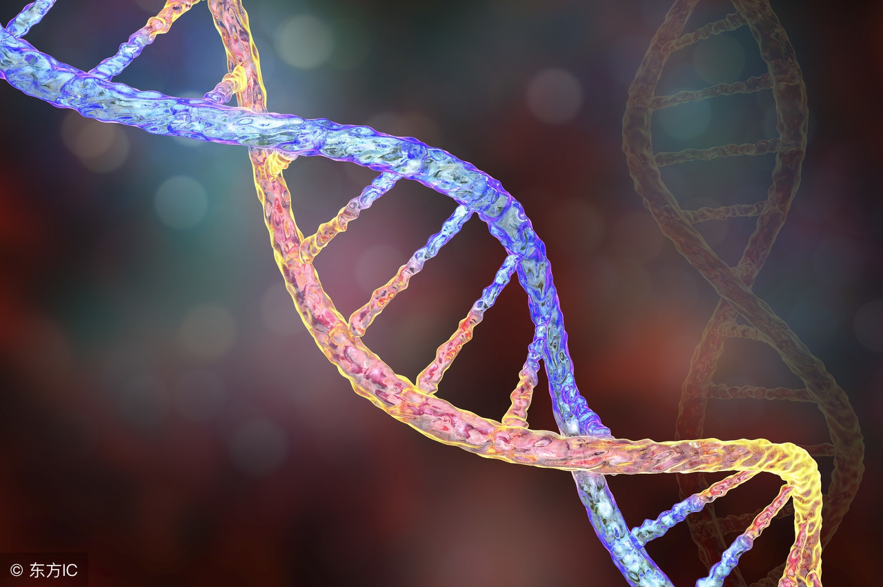 调理染色体会造成胎儿畸形吗,胚胎染色体正常为什么还会畸形