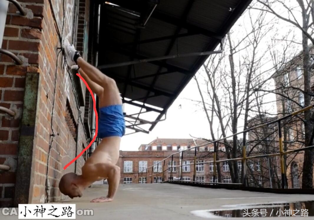 自由倒立进阶倒立撑,自由倒立如何练防摔技巧