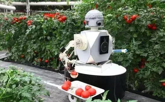 日本农业十大经典精髓,日本农业值得研究的点