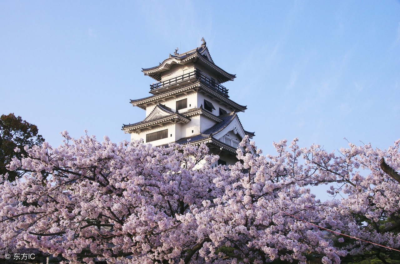 才女薄命：她只活了24岁却印在日元上，小宇宙爆发14个月一举成名