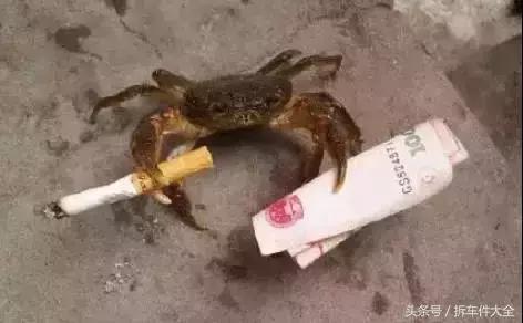 汽修汽配生意好做吗,汽修厂汽配一般利润多少