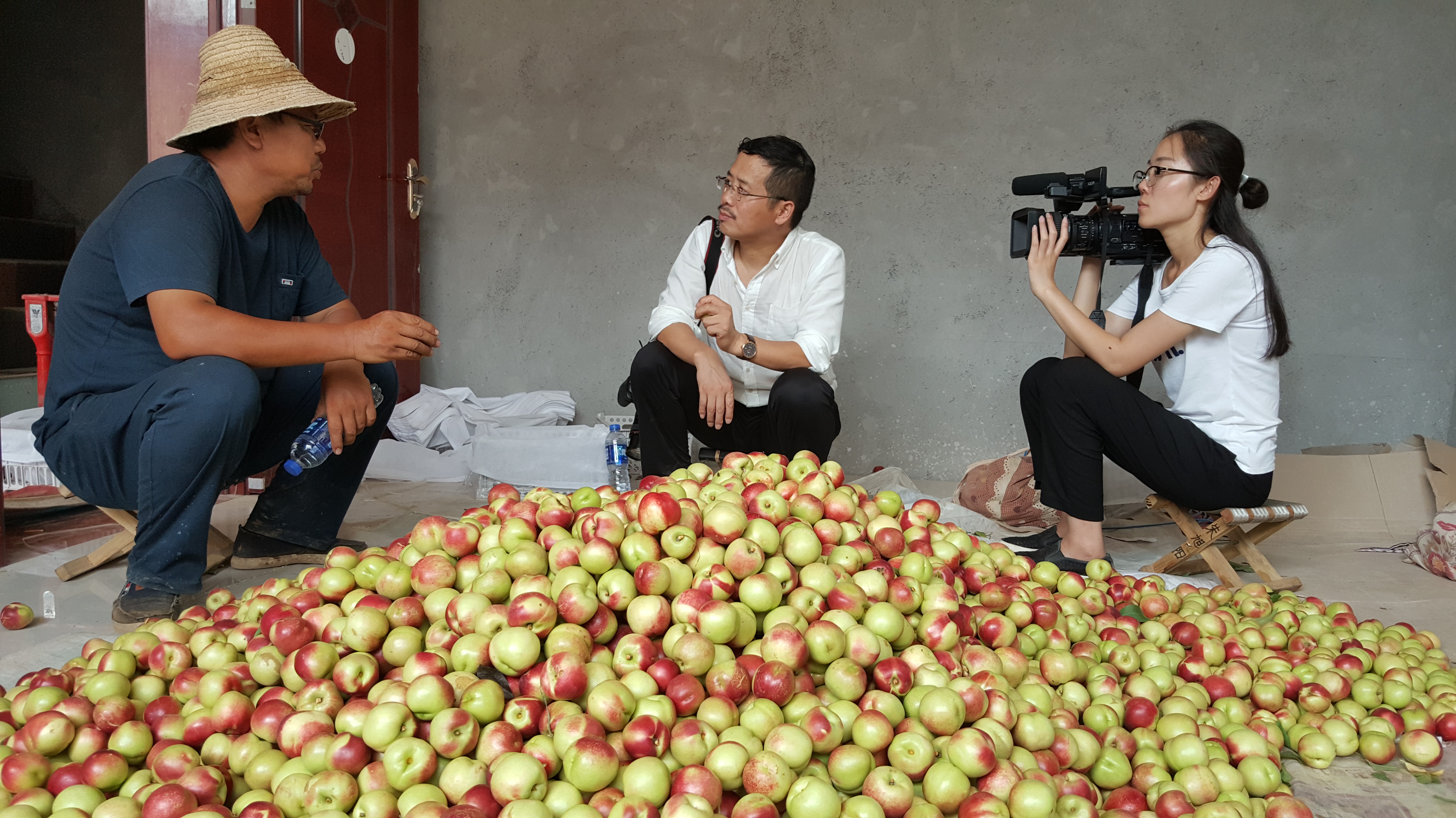 枣油桃产地优点,枣油桃产品介绍