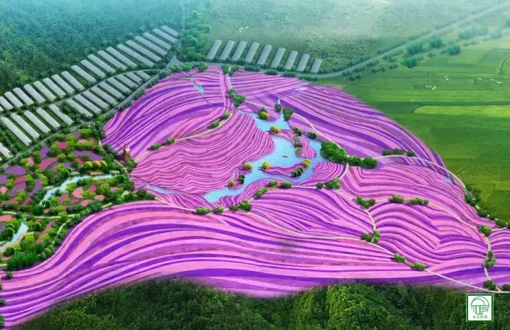 休闲农业项目,新型农业有什么好项目可以做