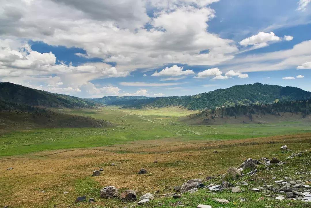 大众探探试驾视频,探歌探岳探享试驾体验