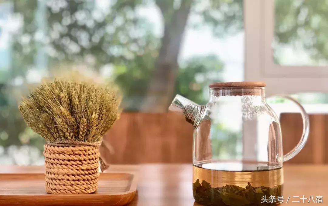 她在南京,南京谷里熏衣草庄园最佳观赏期