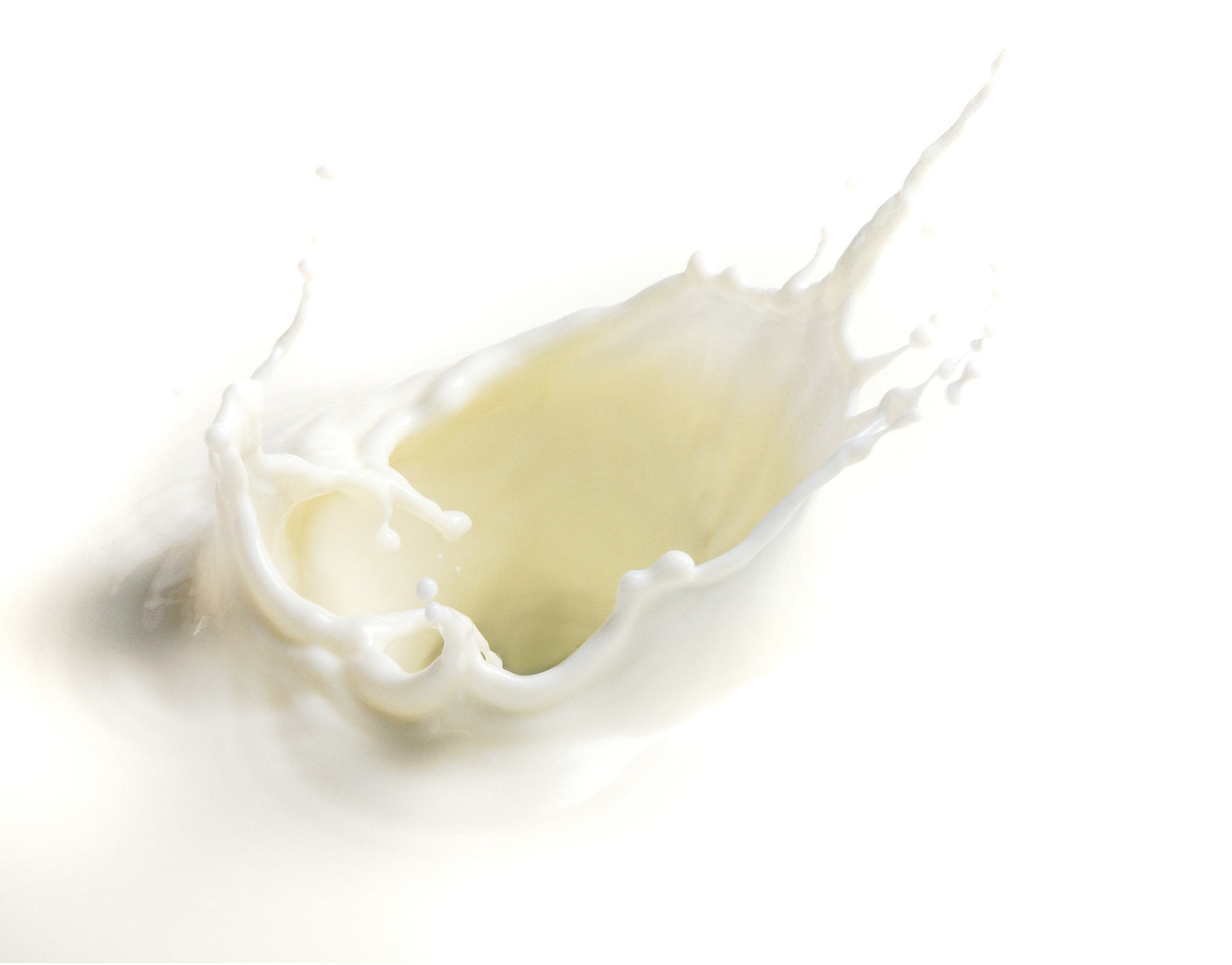 狗狗喝羊奶粉有点拉肚子怎么办,狗狗喝羊奶粉拉肚子怎么回事