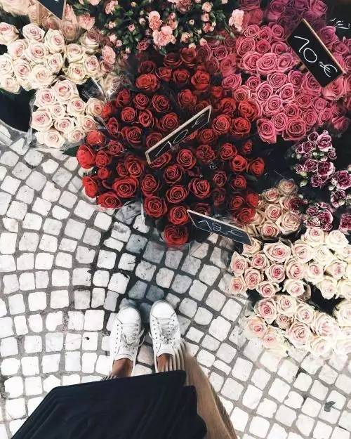 爱旅行的女人最可怕,爱旅行的女人活得更有魅力