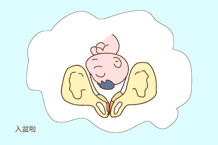 怎么判断自己的胎儿入盆了？就看这3点，别还晕乎乎不知道