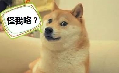 对不起，我又成了拖油瓶了